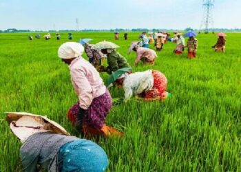 പൊന്നിന്‍ ചിങ്ങം പിറന്നു; മലയാള നാടിന് ഇന്ന് പുതുവർഷം