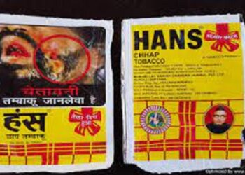 വയനാട്ടിൽ പച്ചക്കറിയുടെ മറവിൽ കടത്താൻ ശ്രമിച്ച 75 ചാക്ക് ഹാൻസ് പിടികൂടി