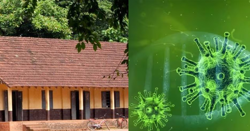 നിപ;വിദ്യാഭ്യാസ സ്ഥാപനങ്ങൾക്ക് അവധി