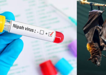 നിപ ; മരിച്ചവരുടെ റൂട്ട്മാപ് പുറത്ത് വിട്ടു