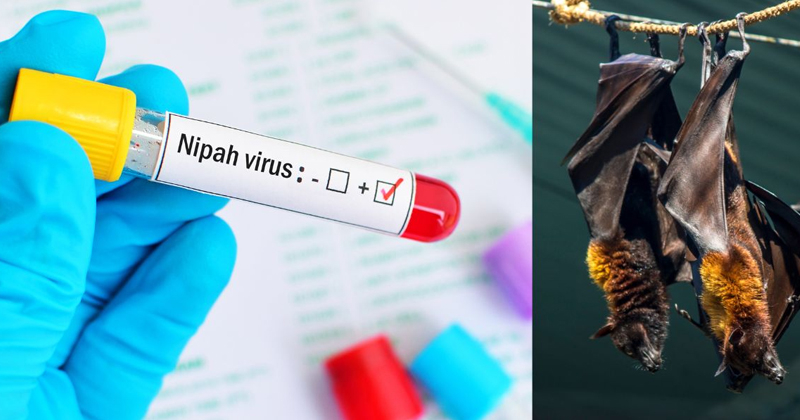 നിപ ; മരിച്ചവരുടെ റൂട്ട്മാപ് പുറത്ത് വിട്ടു