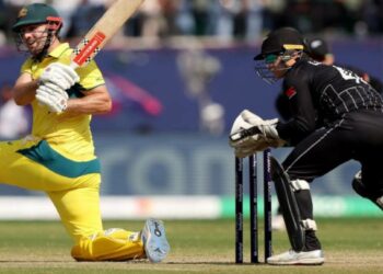 പൊരുതിവീണ് കിവീസ്; ഓസ്‌ട്രേലിയക്ക് തുടര്‍ച്ചയായ നാലാം ജയം