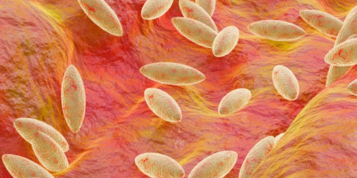 തിരുവനന്തപുരത്ത് ബ്രൂസെല്ല സ്ഥിരീകരിച്ചു: ജാഗ്രതാ നിർദേശം നൽകി ആരോഗ്യ വകുപ്പ്