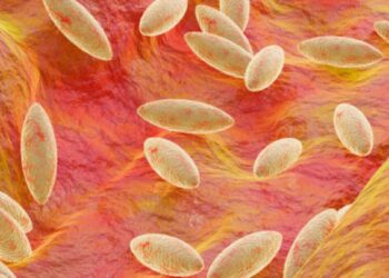 തിരുവനന്തപുരത്ത് ബ്രൂസെല്ല സ്ഥിരീകരിച്ചു: ജാഗ്രതാ നിർദേശം നൽകി ആരോഗ്യ വകുപ്പ്