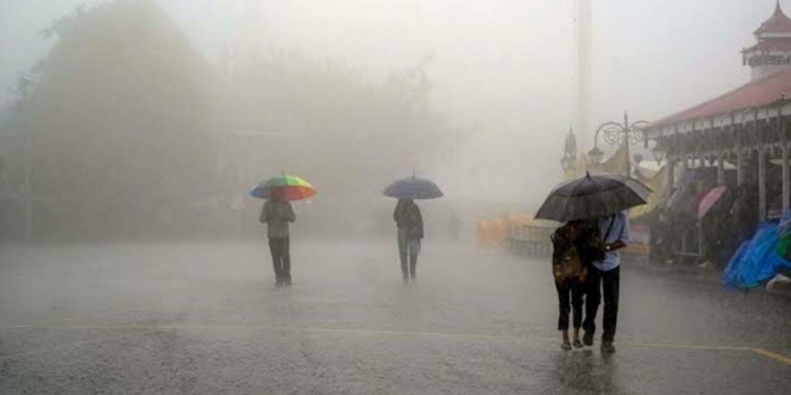 സംസ്ഥാനത്ത് ഇന്ന് വ്യാപക മഴയ്ക്ക് സാധ്യത, ഏഴ് ജില്ലകളിൽ യെല്ലോ അലർട്ട്; മത്സ്യബന്ധനത്തിനും വിലക്ക്