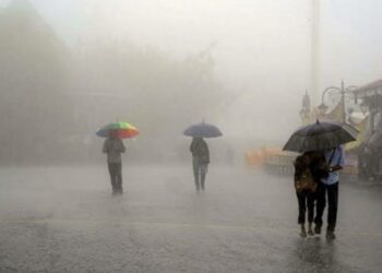 സംസ്ഥാനത്ത് ഇന്ന് വ്യാപക മഴയ്ക്ക് സാധ്യത, ഏഴ് ജില്ലകളിൽ യെല്ലോ അലർട്ട്; മത്സ്യബന്ധനത്തിനും വിലക്ക്