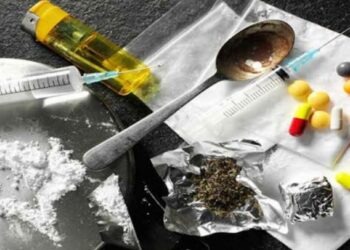 ഓൺലൈനിൽ ലഹരി വസ്തുക്കൾ വാങ്ങി കൊച്ചിയിൽ വിറ്റ് ജീവിക്കുന്ന തുമ്പിപ്പെണ്ണ് – കയ്യോടെ പൊക്കി എക്സൈസ്