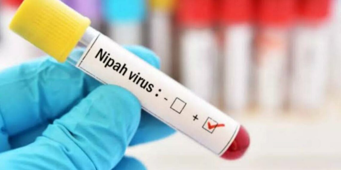 വയനാട്ടിൽ വവ്വാലുകളിൽ നിപ വൈറസ് സാന്നിധ്യമെന്ന് ഐസിഎംആർ; ജാഗ്രത പാലിക്കണമെന്ന് ആരോഗ്യമന്ത്രി