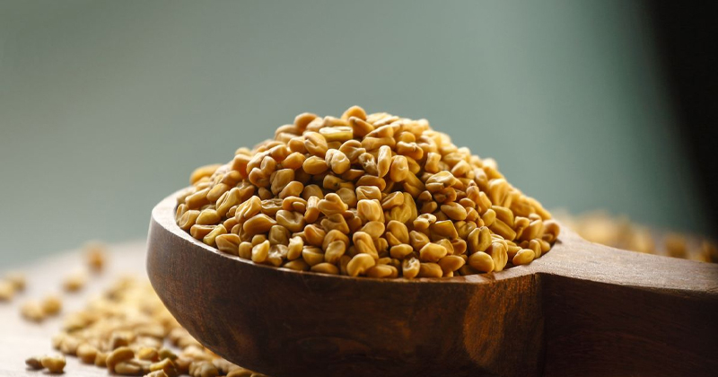 നിസ്സാരക്കാരനല്ല ഉലുവ; ആരോഗ്യ ഗുണങ്ങളേറെ