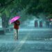 അഞ്ച് ദിവസം ഇടിമിന്നലോട് കൂടിയ മഴ. മഴ ശക്തമായേക്കും.
