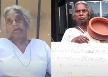 ഭിക്ഷയെടുത്ത് പ്രതിഷേധിച്ച സംഭവത്തിൽ വ്യാജ പ്രചാരണം; മറിയക്കുട്ടി ഹൈക്കോടതിയിലേക്ക്