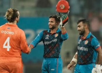 അഫ്ഗാന് മുന്നിൽ കീഴടങ്ങി ഡച്ച് പട; നെതർലൻഡ്സിന്റെ താളം തെറ്റിച്ചത് റണ്ണൗട്ടുകൾ