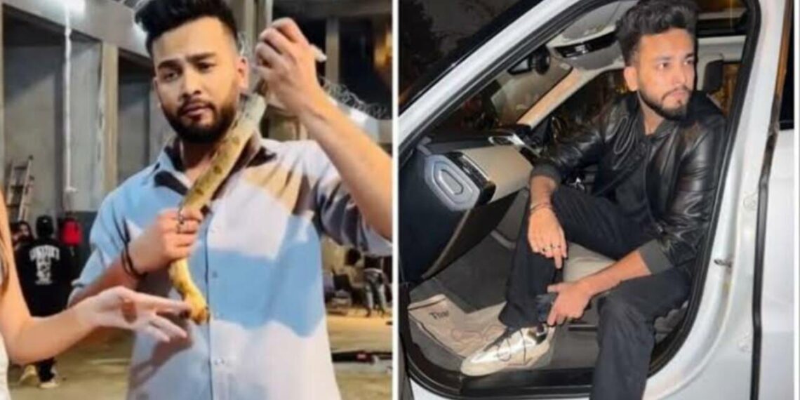 പാമ്പിന്‍ വിഷം കൊണ്ട് റേവ് പാര്‍ട്ടി; റിയാലിറ്റി ഷോ താരം എല്‍വിഷ് അറസ്റ്റിൽ