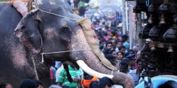 കല്‍പ്പാത്തി രഥോത്സവം; രഥം തള്ളാന്‍ ആനയെ ഉപയോഗിക്കരുതെന്ന് ജില്ലാ മോണിറ്ററിംഗ് സമിതി – വിമര്‍ശനവുമായി നാട്ടുകാർ 