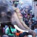 കല്‍പ്പാത്തി രഥോത്സവം; രഥം തള്ളാന്‍ ആനയെ ഉപയോഗിക്കരുതെന്ന് ജില്ലാ മോണിറ്ററിംഗ് സമിതി – വിമര്‍ശനവുമായി നാട്ടുകാർ 