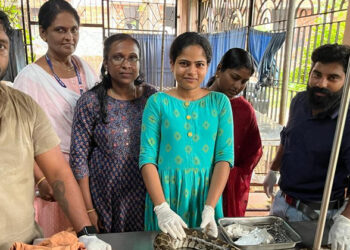 വാഹനമിടിച്ച് പരിക്കേറ്റു; പെരുമ്പാമ്പിന് ശസ്ത്രക്രിയ