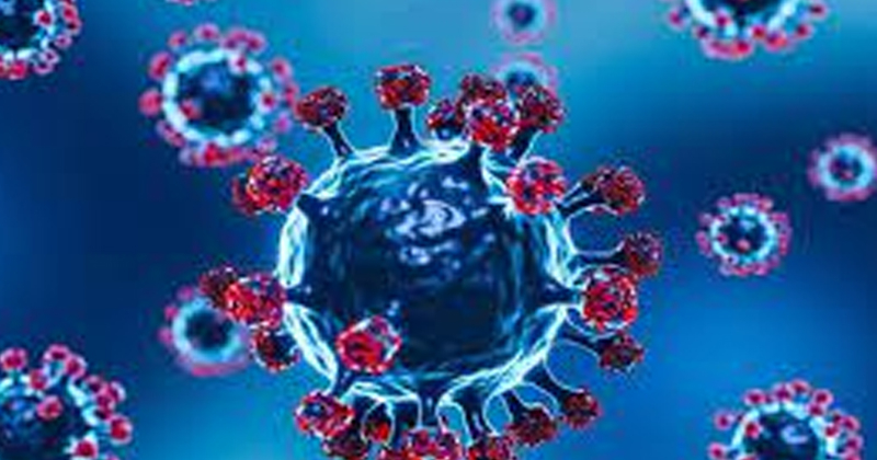 കോവിഡ് വ്യാപനം; രാജ്യത്ത് ഏറ്റവും കൂടുതൽ കേസുകൾ കേരളത്തിൽ. ഇന്ന് ഉന്നതതല യോഗം