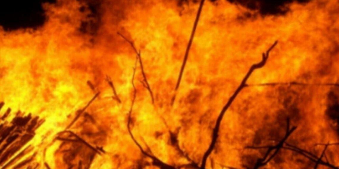 കോഴിക്കോട് ഇന്ധനം സൂക്ഷിച്ചിരുന്ന ഷെഡ്ഡുകളിൽ വൻ തീപിടിത്തം