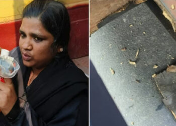 ഓടിക്കൊണ്ടിരുന്ന ബസിന്റെ പ്ലാറ്റ്ഫോം തകര്ന്ന് യാത്രക്കാരി റോഡില് വീണു; കഴിവ്കെട്ട സർക്കാരെന്ന വിമർശനവുമായി അണ്ണാമലൈ