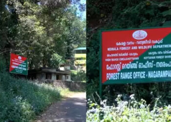 വനിതാ ഓഫീസർമാരോട് ശൃംഗാരവും, നിരന്തരം അശ്ലീല സംഭാഷണവും. എതിർത്തത് പ്രതികാരത്തിനിടയാക്കി; ഫോറസ്റ്റ് ഉദ്യോഗസ്ഥനെതിരെ പരാതി