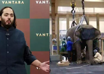 സുവോളജിക്കൽ പാർക്കല്ല, സേവാലയം; 3000 ഏക്കറിൽ വന്യമൃഗ സംരംക്ഷണത്തിന് റിലയൻസ് വൻതാര