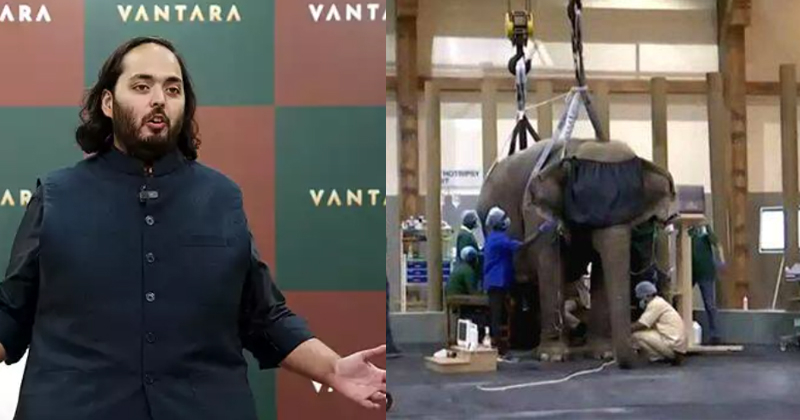 സുവോളജിക്കൽ പാർക്കല്ല, സേവാലയം; 3000 ഏക്കറിൽ വന്യമൃഗ സംരംക്ഷണത്തിന് റിലയൻസ് വൻതാര