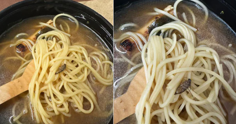 ഓര്ഡര് ചെയ്ത ഭക്ഷണത്തിൽ പാറ്റ; വിവാദമായതോടെ മാപ്പ് പറഞ്ഞ് സൊമാറ്റോ