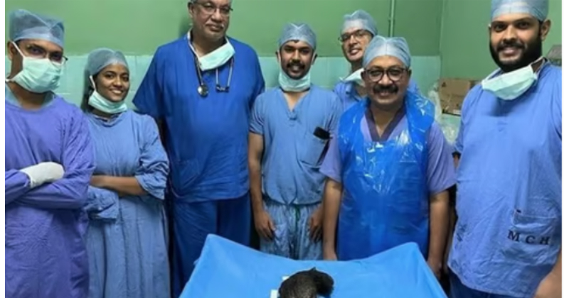 രണ്ട് കിലോ തൂക്കവും, 30 സെന്റീമീറ്റർ നീളവും; പത്താം ക്ലാസുകാരിയുടെ വയറ്റില്‍ നിന്ന് ഭീമന്‍ മുടിക്കെട്ട്