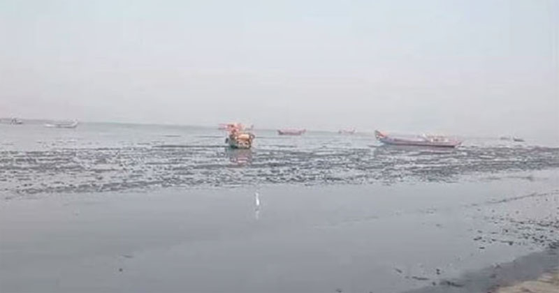 ആലപ്പുഴയിൽ കടല്‍ ഉള്‍വലിഞ്ഞു; ചെളിയിൽ കുടുങ്ങി ബോട്ടുകൾ