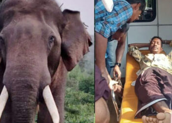 മലക്കപ്പാറയിൽ വീണ്ടും കാട്ടാന ആക്രമണം; ഒരാള്‍ക്ക് ഗുരുതര പരിക്ക്