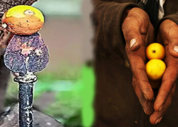 നീര് കുടിച്ചാൽ വന്ധ്യത മാറുമെന്ന് വിശ്വാസം; ക്ഷേത്രത്തിലെ 9 നാരങ്ങ വിറ്റത് 2.36 ലക്ഷം രൂപക്ക്