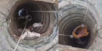 കാട്ടുപന്നിയെ കണ്ടു ഭയന്നോടി; കാണാതായ വീട്ടമ്മയെ കണ്ടെത്തിയത് കിണറ്റിൽ