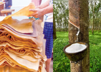 റബ്ബര്‍ കയറ്റുമതിക്ക് 5 രൂപ ഇന്‍സെന്റീവ്; റബ്ബര്‍ കര്‍ഷകര്‍ക്ക് ആശ്വാസമായി കേന്ദ്രസര്‍ക്കാര്‍ പ്രഖ്യാപനം