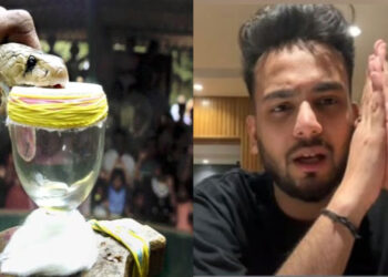 റേവ് പാര്‍ട്ടിയില്‍ ലഹരിക്കായി പാമ്പിന്‍ വിഷം; മുൻ ബി​ഗ് ബോസ് താരം അറസ്റ്റിൽ