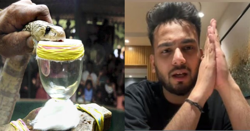 റേവ് പാര്‍ട്ടിയില്‍ ലഹരിക്കായി പാമ്പിന്‍ വിഷം; മുൻ ബി​ഗ് ബോസ് താരം അറസ്റ്റിൽ