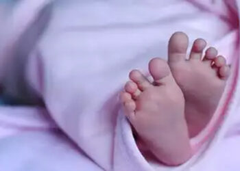 അട്ടപ്പാടിയിൽ വീണ്ടും ആദിവാസി ശിശുമരണം; 7 മാസം പ്രായമുള്ള കുഞ്ഞ് ശ്വാസംമുട്ടി മരിച്ചു