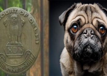 വിദേശ നായകളുടെ ഇറക്കുമതിയും വില്‍പ്പനയും നിരോധിച്ച ഉത്തരവ് റദ്ദാക്കി ഡല്‍ഹി ഹൈക്കോടതി