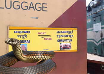 ട്രെയിനിനുള്ളിൽ വെച്ച് യുവാവിന് പാമ്പ് കടിയേറ്റു; യാത്രക്കാരെ ഒഴിപ്പിച്ച് ബോഗി സീല് ചെയ്തു