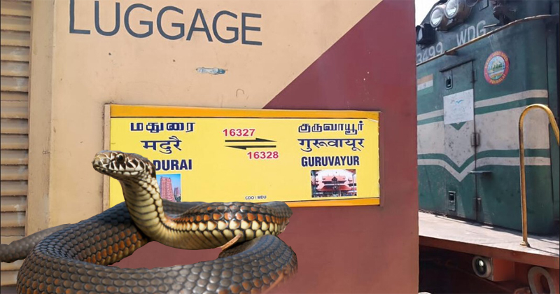 ട്രെയിനിനുള്ളിൽ വെച്ച് യുവാവിന് പാമ്പ് കടിയേറ്റു; യാത്രക്കാരെ ഒഴിപ്പിച്ച് ബോഗി സീല്‍ ചെയ്തു