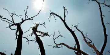 കേരളം കനത്ത ചൂടിൽ; 12 ജില്ലകളിൽ ഇന്ന് യെല്ലോ അലർട്ട്
