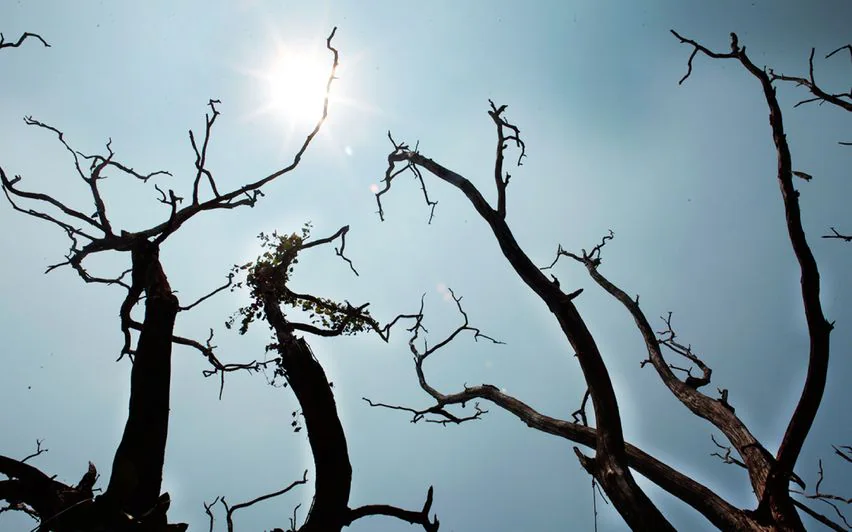 കേരളം കനത്ത ചൂടിൽ; 12 ജില്ലകളിൽ ഇന്ന് യെല്ലോ അലർട്ട്