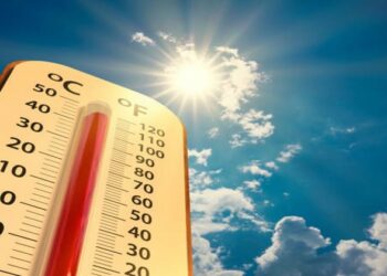 പാലക്കാട് ജില്ലയില് ഉഷ്ണതരംഗ മുന്നറിയിപ്പ്; 41 ഡിഗ്രി വരെ ചൂട്