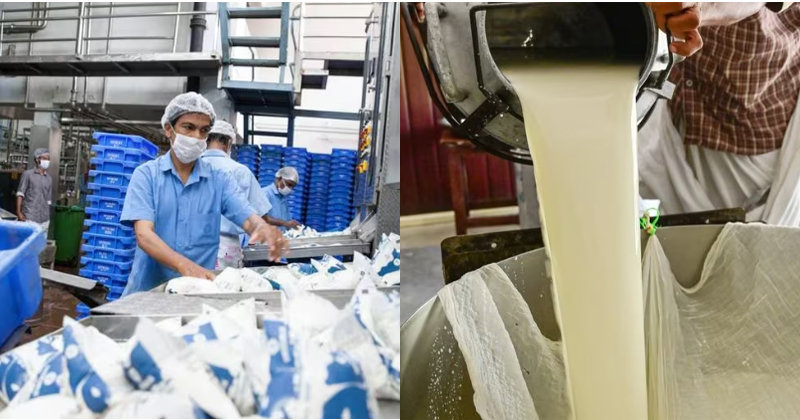 കടുത്ത ചൂട്: സംസ്ഥാനത്ത് പാൽ ഉത്പാദത്തില്‍ വന്‍ ഇടിവ്; ആറരലക്ഷം ലിറ്റര്‍ പാലിന്റെ കുറവുണ്ടായിട്ടുണ്ടെന്ന് മിൽമ