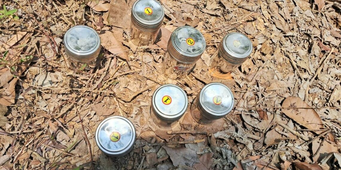 മദ്യലഹരിയിൽ യുവാവ് തോട്ടത്തിന് തീയിട്ടു; മോട്ടോറുകൾ കത്തിനശിച്ചു