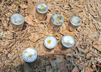 മദ്യലഹരിയിൽ യുവാവ്‌ തോട്ടത്തിന്‌ തീയിട്ടു; മോട്ടോറുകൾ കത്തിനശിച്ചു