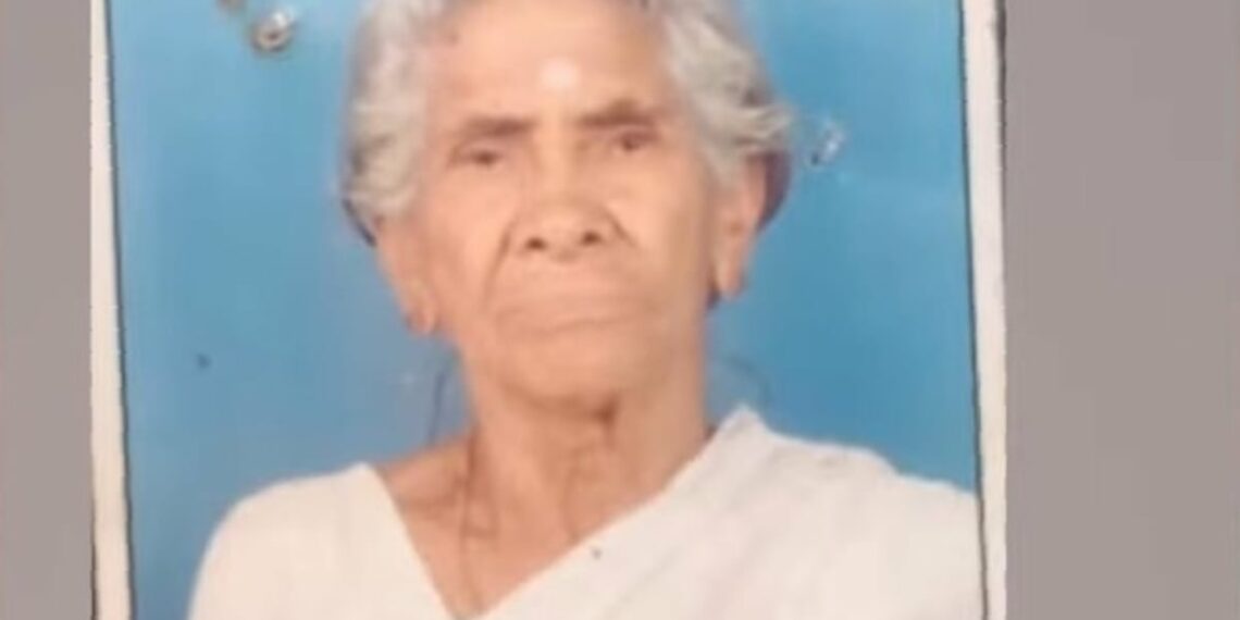 പാലക്കാട് സൂര്യാഘാതമേറ്റ് വയോധിക മരിച്ചു