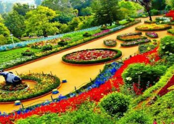 സഞ്ചാരികളെ ആകർഷിക്കാൻ ഒരുങ്ങി ഊട്ടി; പുഷ്പമേള മേയ് 10 മുതൽ