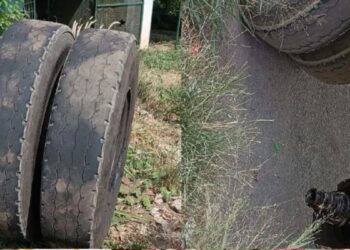 തൃശ്ശൂരിൽ കണ്ടെയ്നർ ലോറിയുടെ ടയർ ഊരിത്തെറിച്ച് അപകടം ; ഫാസ് ടാഗ് കൗണ്ടറിൽ ഇരുന്ന യുവാവ് മരിച്ചു