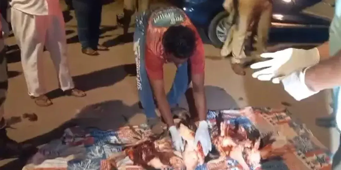 മുംബൈയില്‍ വിമാനം തട്ടി 39 ഫ്‌ളമിംഗോ പക്ഷികള്‍ ചത്തു