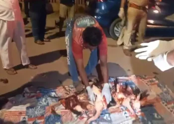 മുംബൈയില്‍ വിമാനം തട്ടി 39 ഫ്‌ളമിംഗോ പക്ഷികള്‍ ചത്തു